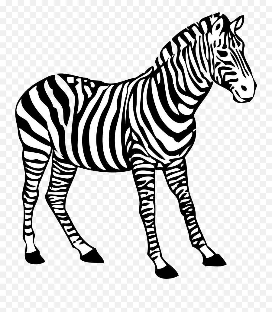 Colouring Picture Of Zebra Transparent - Zebra Clipart Black And White Emoji,Zebra Clipart