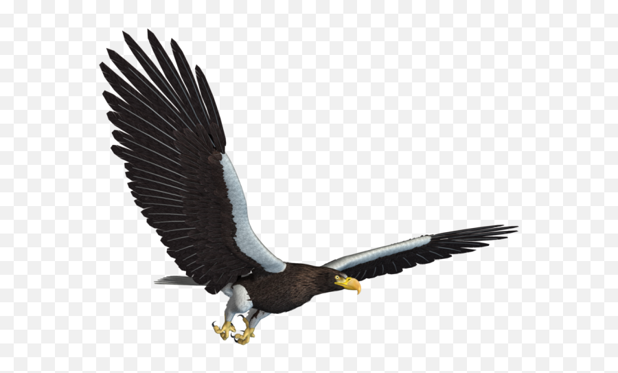 Bald Eagle Png - Eagle Png Flying Eagle Jpg 563144 Vippng Transparent Background Ocean Animals 3d Emoji,Bald Eagle Png