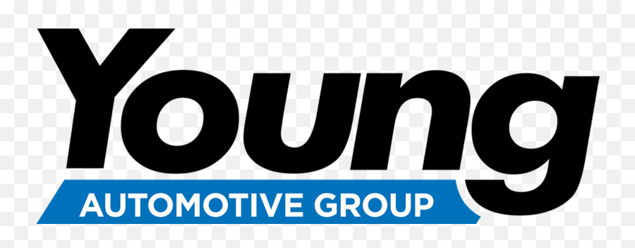 Young Automotive Group Profile - Young Ford Emoji,Automotive Logo