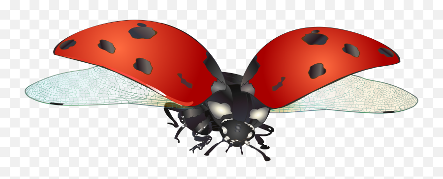 Clipart Neoteric Design Inspiration - Parasitism Emoji,Ladybug Clipart