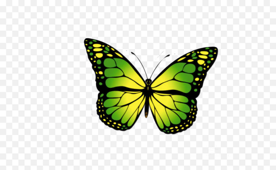 Yellow Butterfly Png Emoji,Yellow Butterfly Png