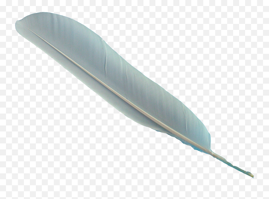 Feather Png Image With Transparent - Feather Transparent Background Emoji,Feather Png