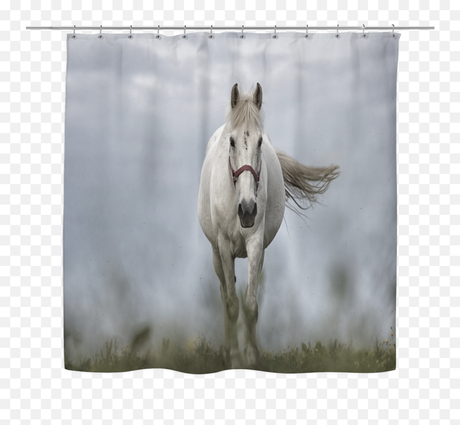 Download White Horse - Mane Png Image With No Background Emoji,White Horse Png