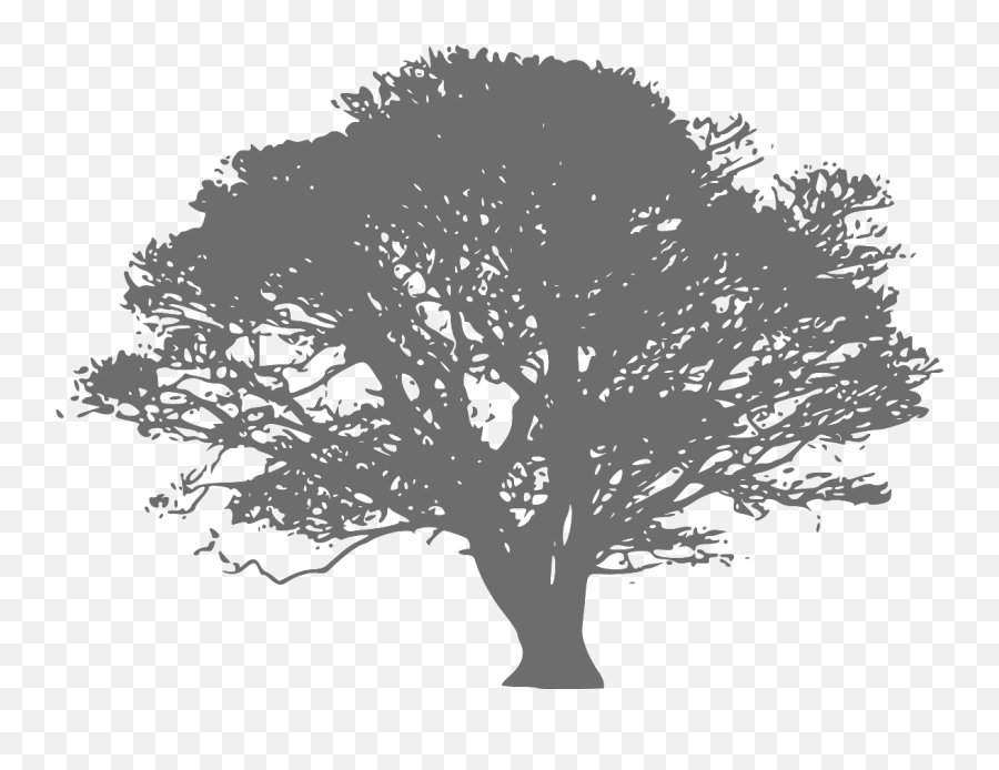 Gray Oak Tree Svg Vector Gray Oak Tree Clip Art - Svg Clipart Emoji,Oak Tree Silhouette Logo