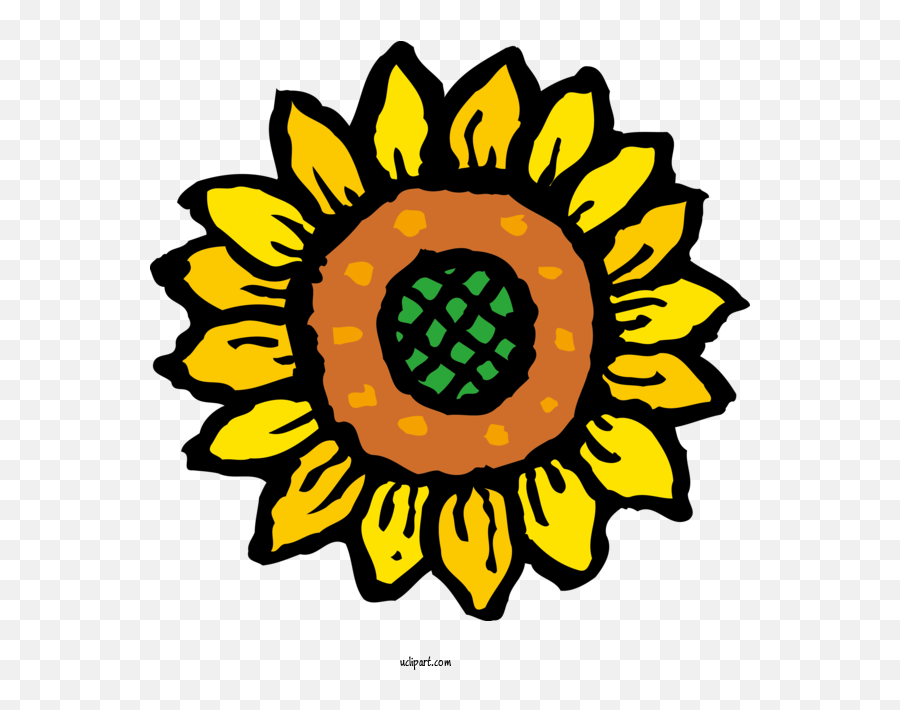 Flowers Icon Common Sunflower Health For Sunflower Emoji,Free Sunflower Clipart