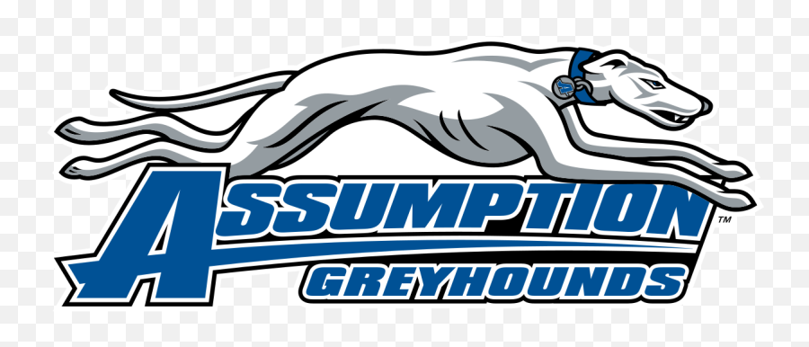 Greyhound Logo Png - Assumption Greyhounds Emoji,Greyhound Logo