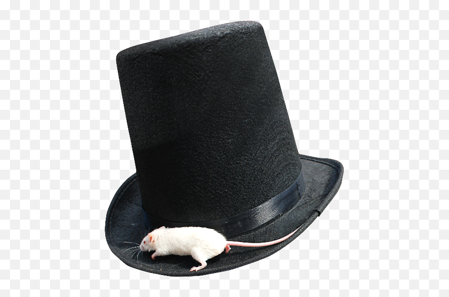 Magician Top Hat Png With White Mouse - Rat On The Hat Emoji,White Hat Png