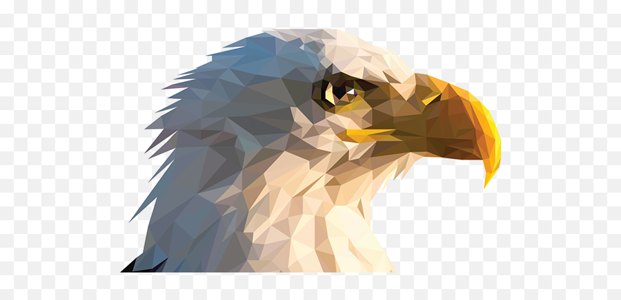 Bald Eagle Triangular On Behance - Sitting Eagle Png Hd Emoji,Bald Eagle Png