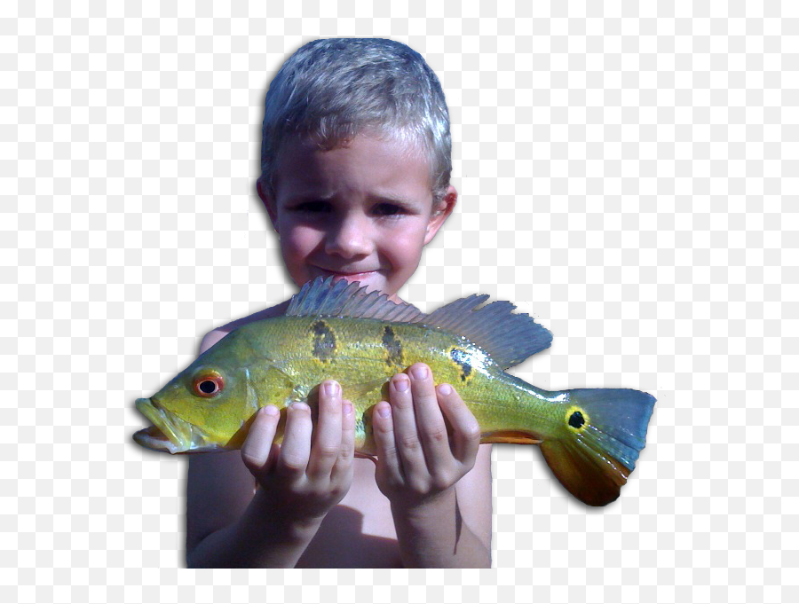 Koloa Bass Fishing Kalaheo Hi 96741 - Boy Emoji,Bass Fishing Clipart