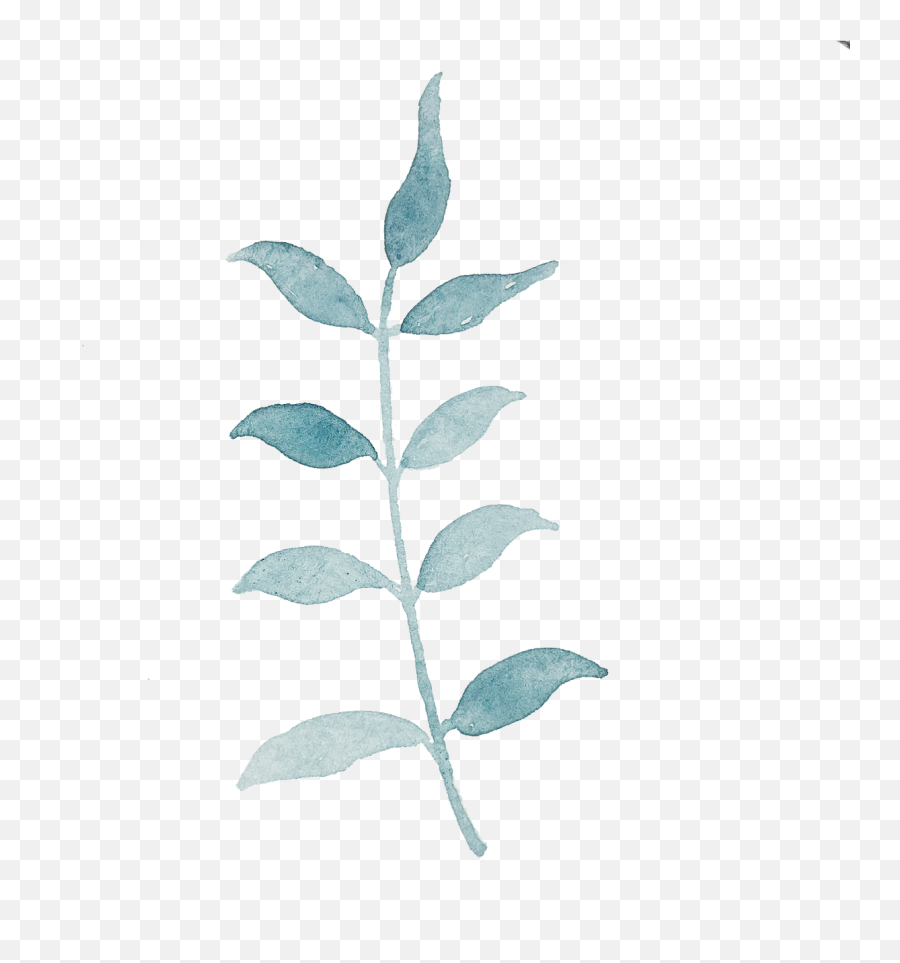 Leaves Twig Watercolor - Free Image On Pixabay Dibujos Hojas De Plantas Emoji,Watercolor Leaves Png
