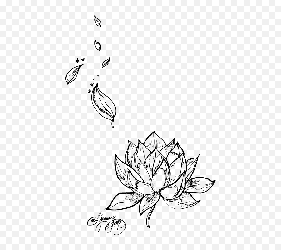 Download Tattoo Flower Nelumbo Nucifera Lotus Egyptian - Lotus Flower Falling Drawing Emoji,Flower Drawing Png