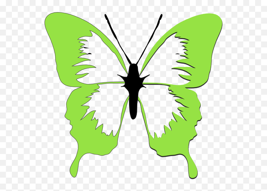 Butterfly Clipart Light Green - Butterfly Black And White Green Butterfly Clipart Png Emoji,Butterfly Clipart Black And White
