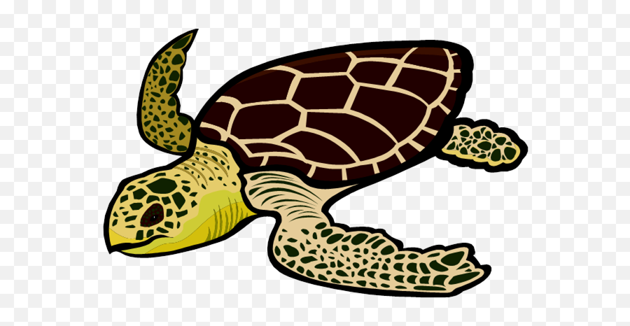 The Sea Turtle Legend Bracelet Olive Ridley Project - Video Emoji,Bracelet Clipart