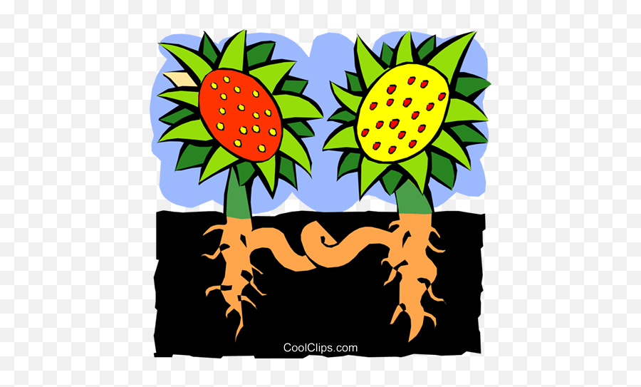 Sunflower And Roots - Abstract Royalty Free Vector Clip Art Emoji,Free Sunflower Clipart