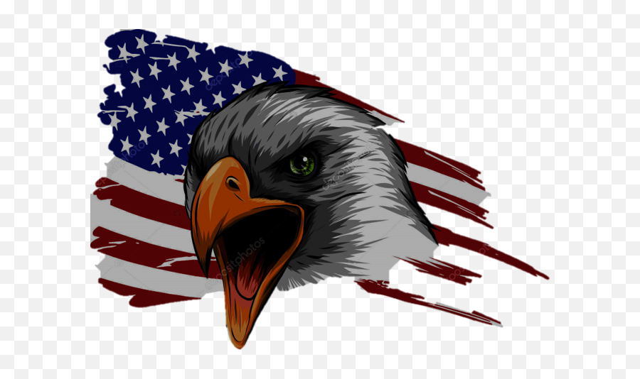 Chester - American Flag Eagle Transparent Emoji,American Flag Transparent