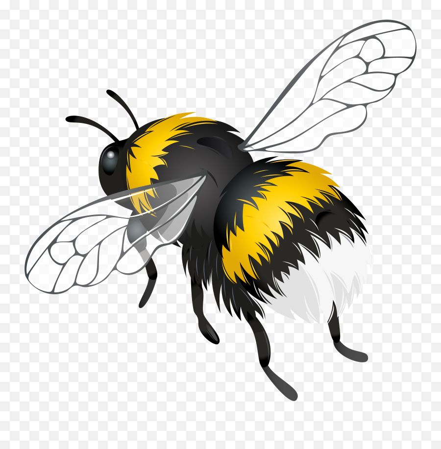 Flying Bee Png Clipart - Bee Png Emoji,Bees Clipart