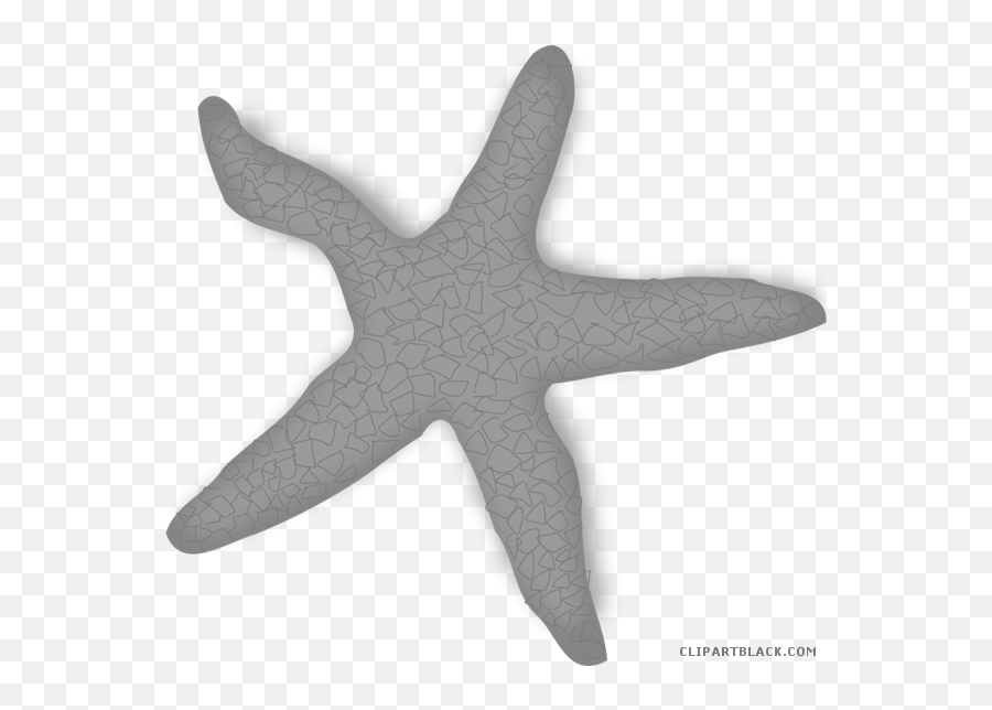 Estrella De Mar Roja - Estrela Do Mar Vermelha Png Emoji,Starfish Clipart Black And White