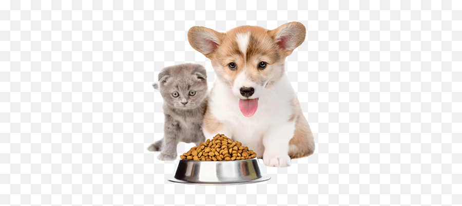Dog Food Png Images Transparent Background Png Play - Cat And Dog Food Png Emoji,Eating Png