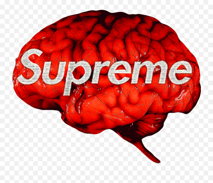 Brain Supreme Bape Logo Sticker - Logo Hypebeast Emoji,Bape Logo