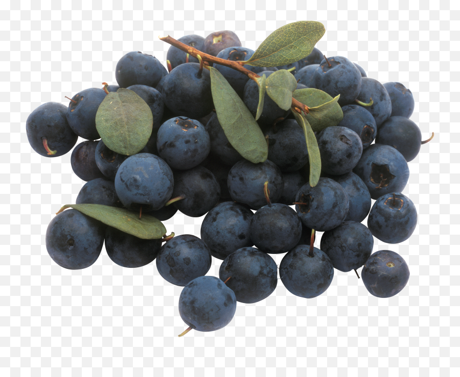 Blueberry Png Image - Blueberries Icon Png Transparent Emoji,Blueberry Png