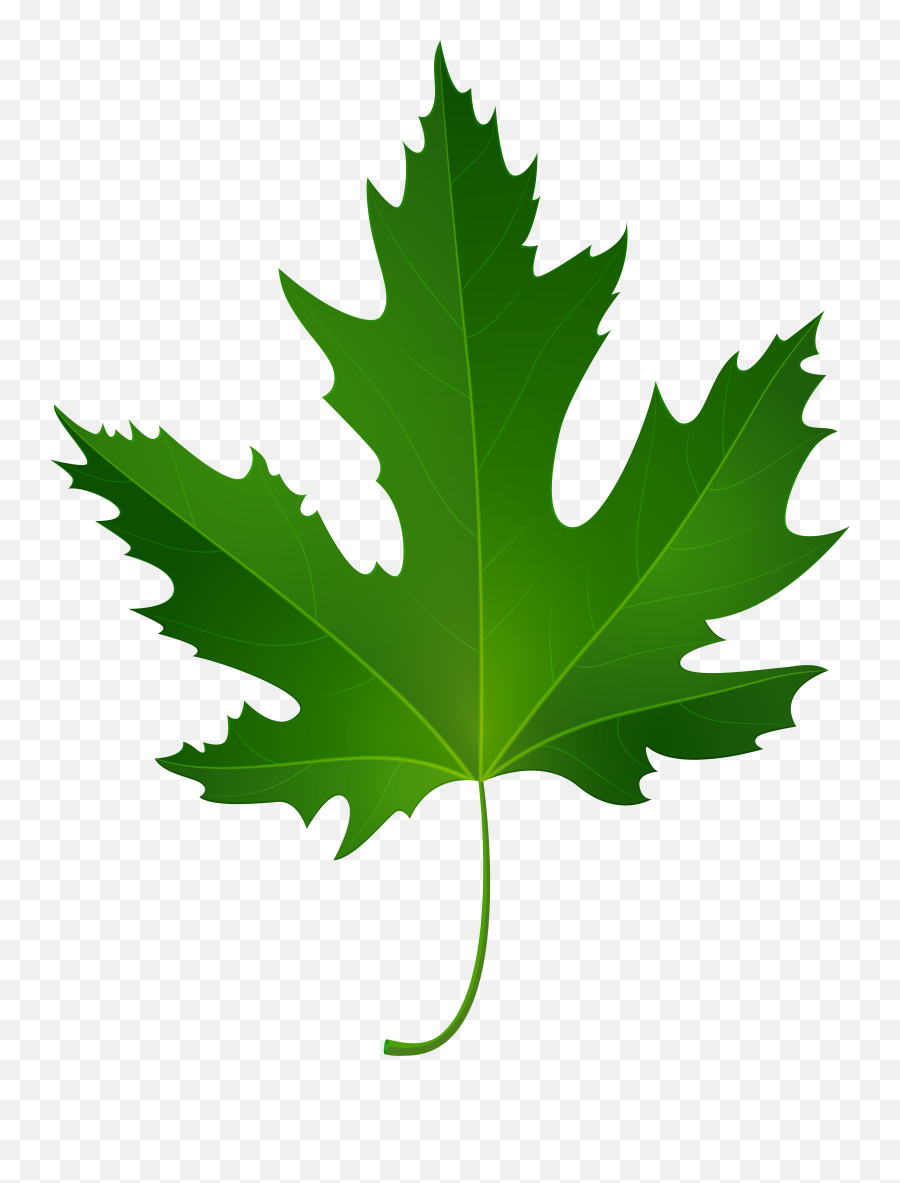 Leaves Clipart Dark Green Picture 1525774 Leaves Clipart Emoji,Green Leaves Png