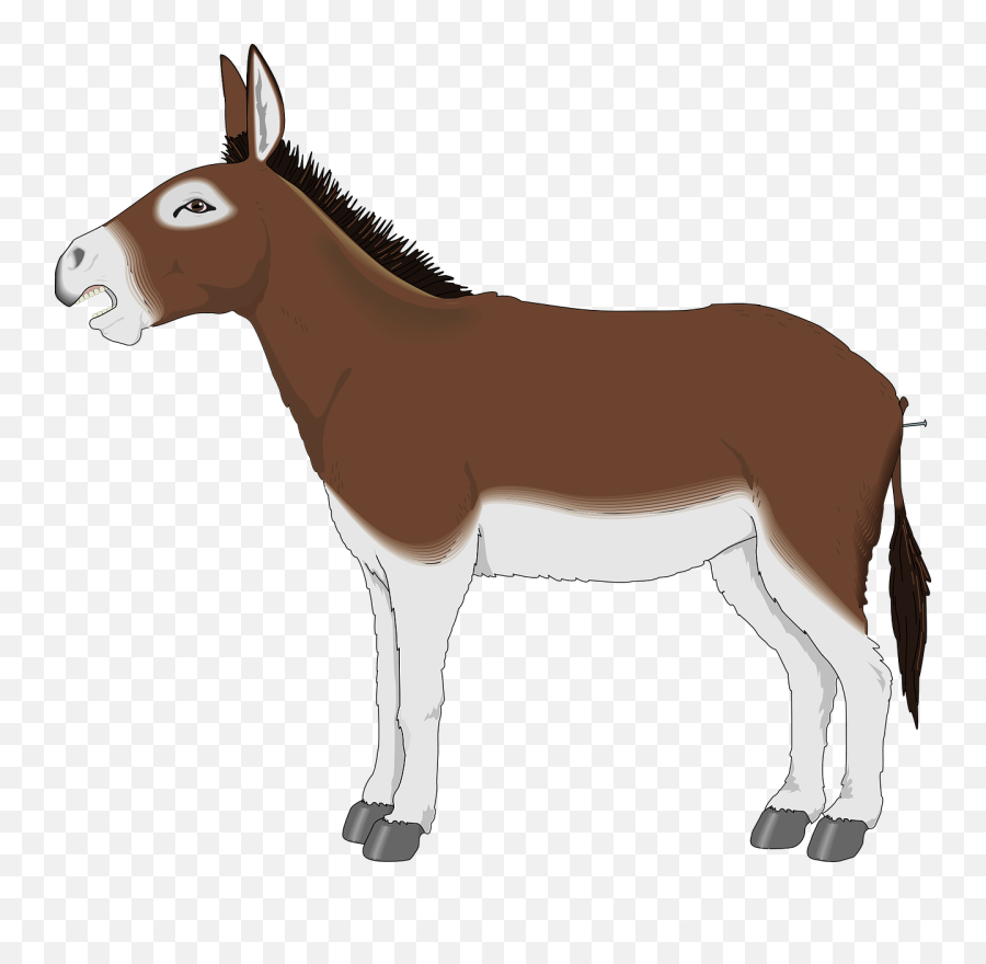 Download Drawing Donkey Mule Picture - Mule Clip Art Emoji,Donkey Clipart