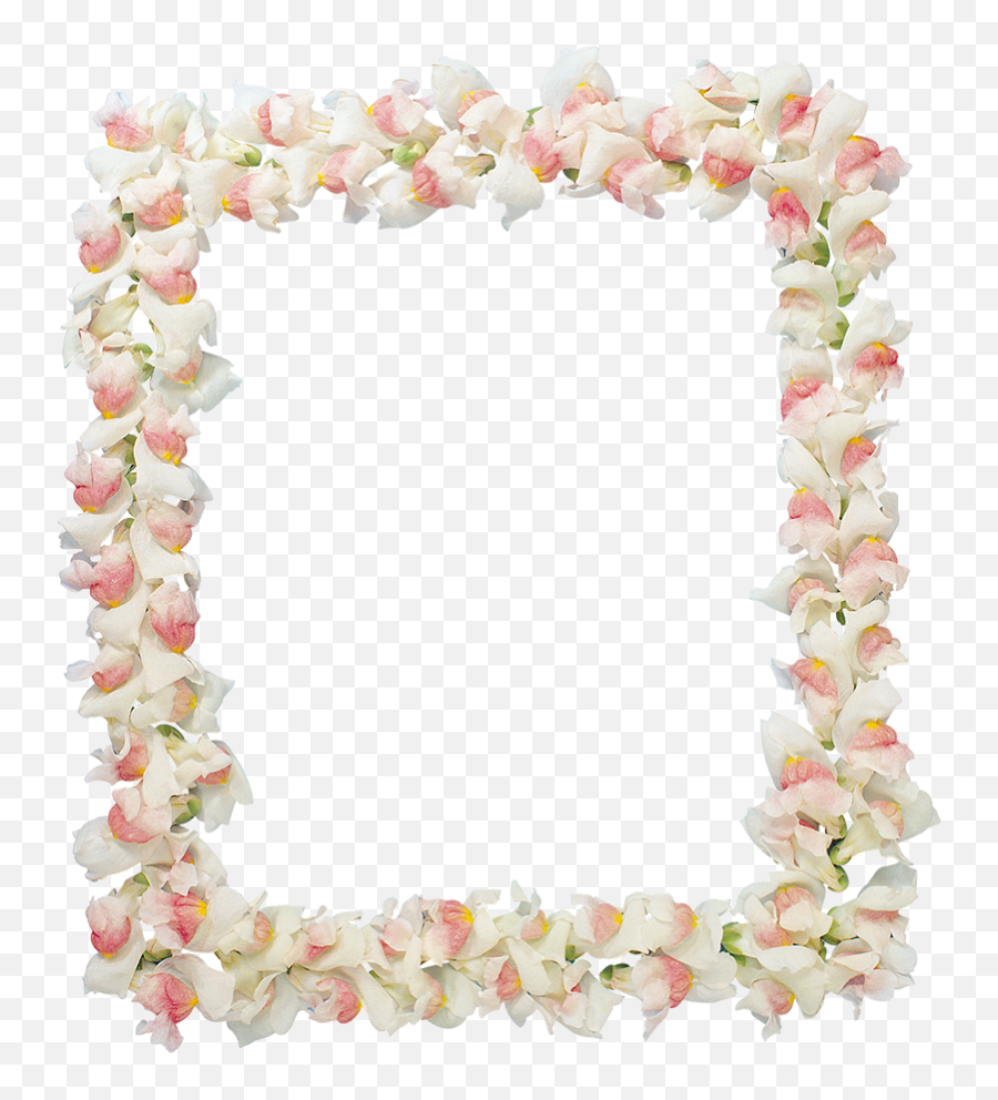 White Flower Frame Png Images Download - Yourpngcom Emoji,White Flower Transparent