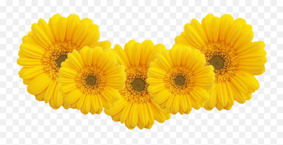 Sunflowers Crown Wreaths U0026 Tiaras Weddings Ssdpolymerscom Emoji,Marigolds Clipart