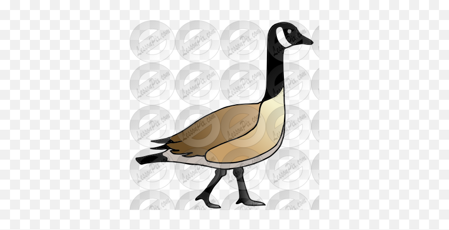 Goose Picture For Classroom Therapy - Duck Emoji,Goose Clipart