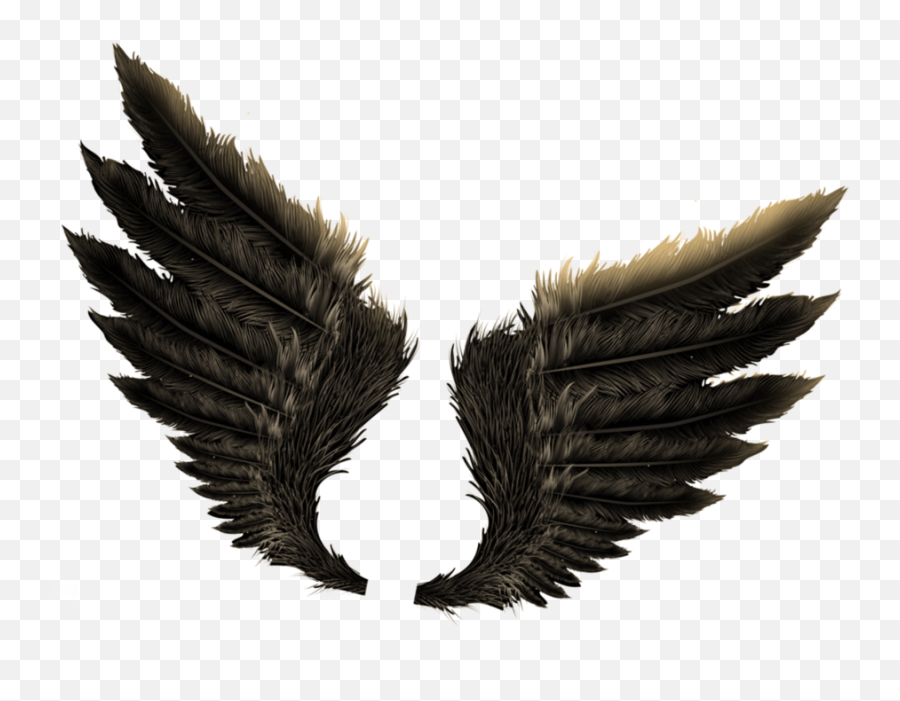 Wings Png Images Free Download - Eagle Wings Dragon Wings Dragon Pic For Editing Emoji,Wings Png