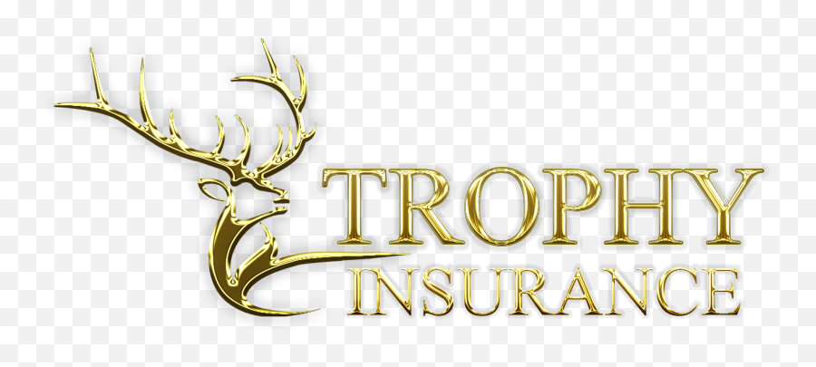 Trophy Insurance Solutions Insurance In Weatherford Tx - Language Emoji,Trophy Logo