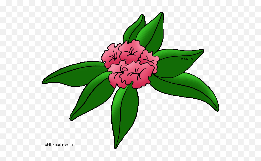 Washington Clipart State - Common Peony Hd Png Download Washington Flower To Draw Emoji,Peony Clipart