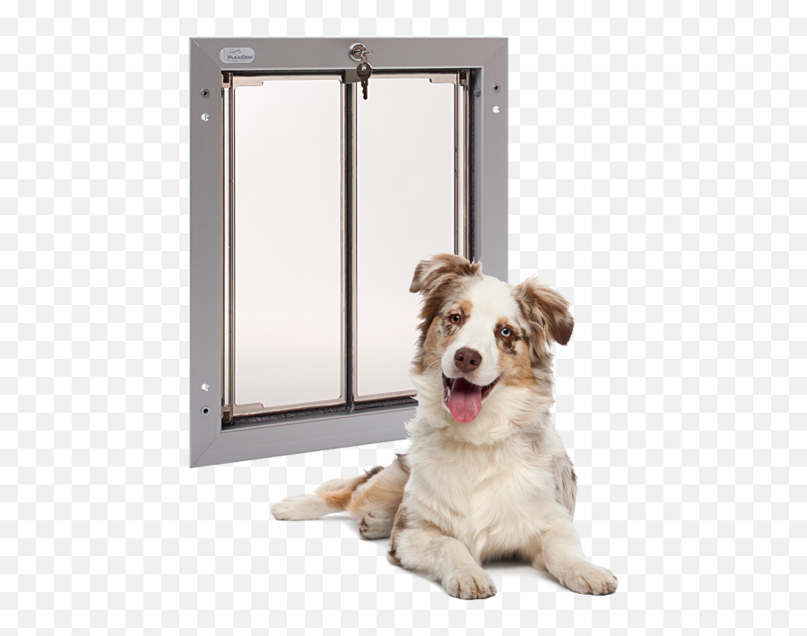 4k Letterbox Png - Large Dog Door Emoji,Door Transparent Background