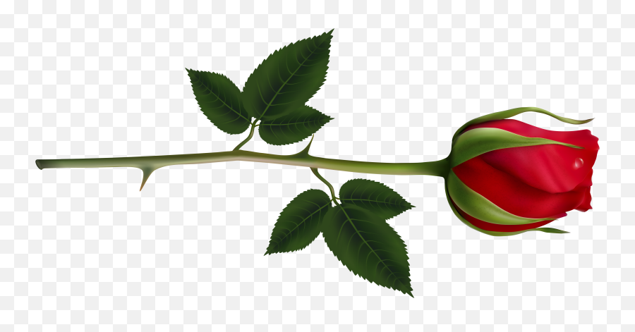 Red Steam Rose Clipart Png Image - Rose With Stem And On Leaf Emoji,Rose Clipart