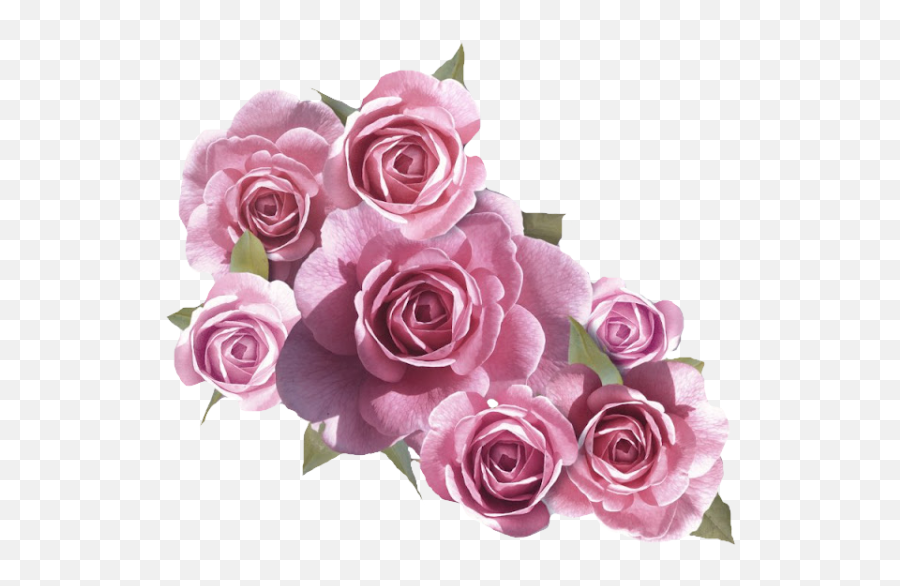 Png Images Vector Psd Clipart Templates - Ramo De Rosas Png Emoji,Flores Png