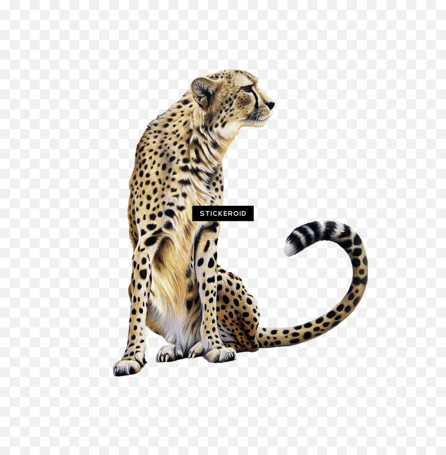 Cheetah Clipart - Leopard Emoji,Cheetah Clipart