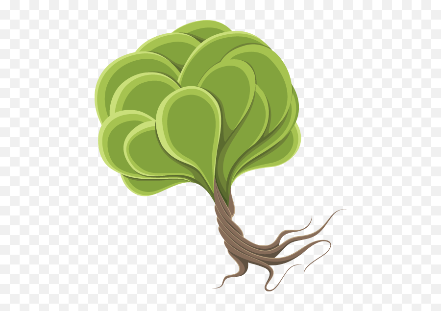 The Pushkin Trust The Roots Of Spring Emoji,Lettuce Leaf Clipart