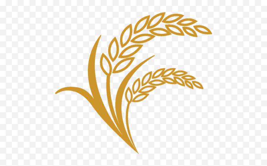 Cajun Country Rice - Transparent Rice Logo Png Emoji,Rice Logo