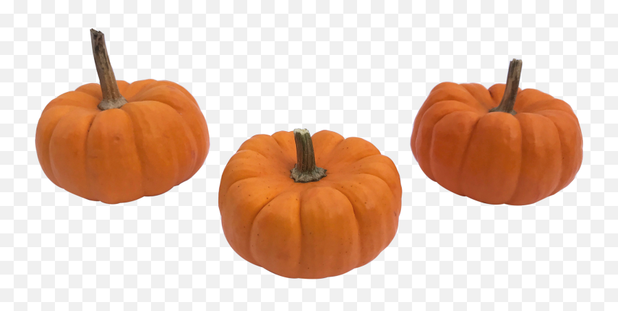 Pumpkins - Mini Pumpkin Png Emoji,Pumpkin Transparent
