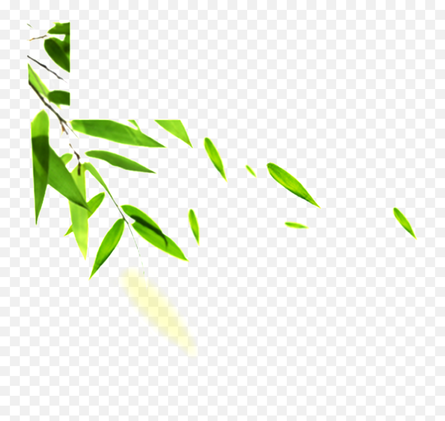 Green Leaf Png Hd Transparent Cartoon - Jingfm Skin Care Leaves Png Emoji,Green Leaves Png