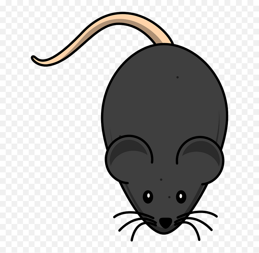 Cartoon Black Mouse Clipart Free Download Transparent Png - Black Lab Mouse Clipart Emoji,Mouse Clipart Black And White
