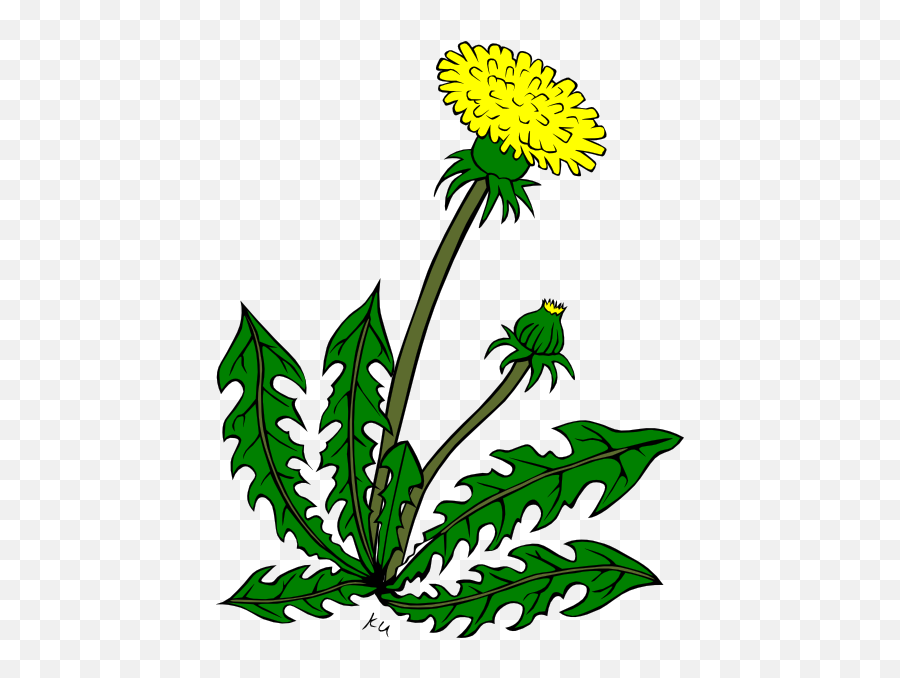 Library Of Weeding Garden Picture - Weeds Clip Art Emoji,Garden Clipart