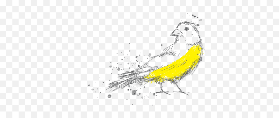 The Gray Canary - Domestic Canary Emoji,Black Canary Logo