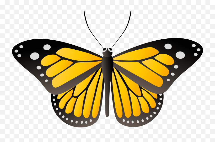 Butterfly Yellow Clip Art Image Gallery Emoji,Yellow Butterfly Png