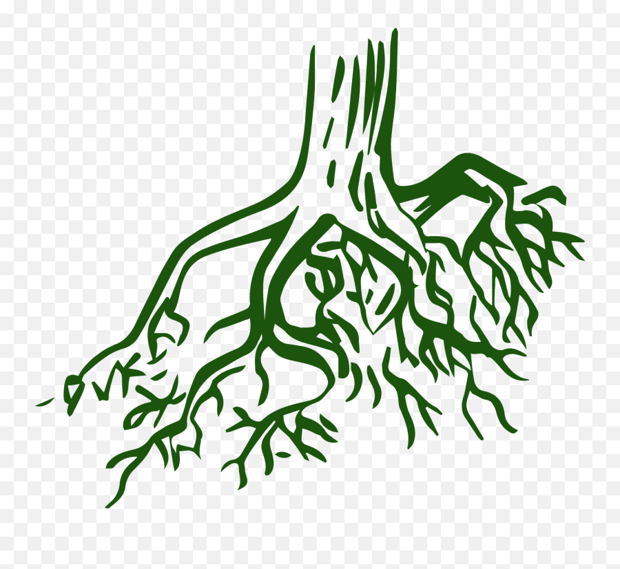 Transparent Tree Roots Clipart - Root Clipart Emoji,Roots Png