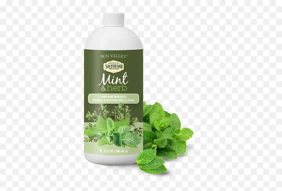Mint Herb Liquid Hand Wash Refill - Peppermint Emoji,Mint Png
