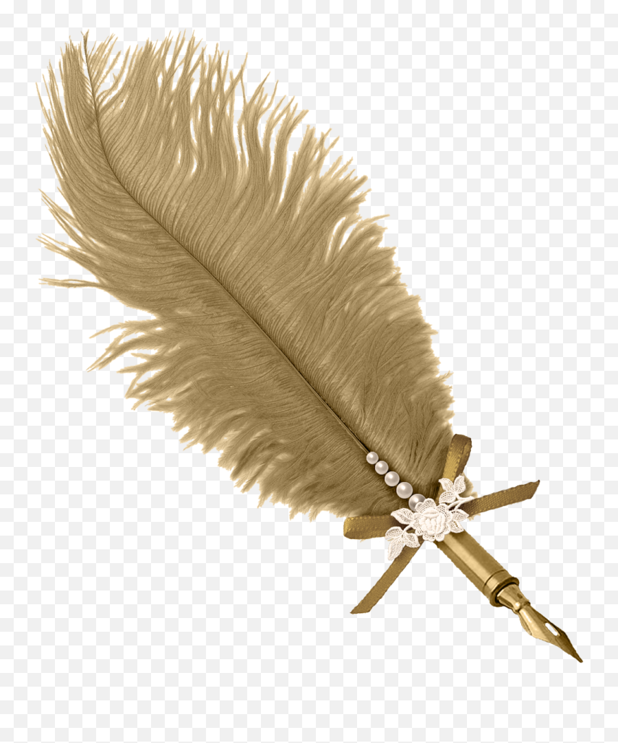 Feather Pen Png Images And Clipart Free Download - Pluma Para Escribir Png Emoji,Feather Transparent Background