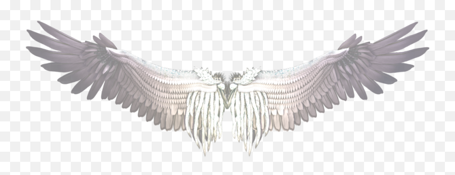 Buffalo Wing Castiel Bird - Bird Png Download 1024384 Airsoft Wallpapers Logo Emoji,Buffalo Wings Png