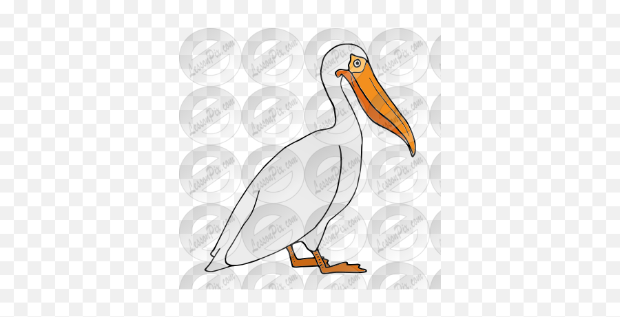 Pelican Picture For Classroom Therapy - Pelican Emoji,Pelican Clipart