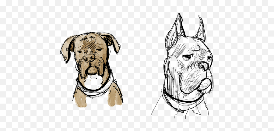 Download Abandon Bonus Page - Draw A Boxer Dog Face Png Draw A Boxer Dog Face Emoji,Dog Face Png